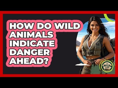How Do Wild Animals Indicate Danger Ahead?