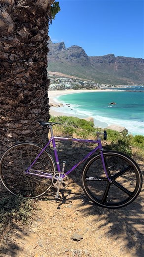 Tim Pope (@timothywpope)’s videos with original sound - Tim Pope