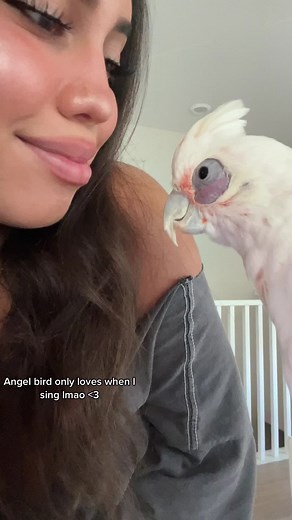 Meet the Angel Bird from Raising Asia | Singing Sensation Bird