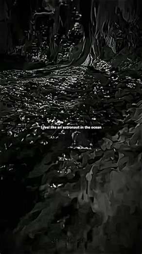 Astronaut In The Ocean - Masked Wolf 👨‍🚀🌊 | aesthetic | lyrics | #shorts #aesthetic #lyrics #status