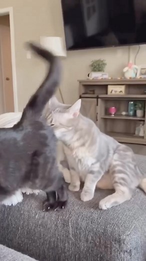 10K views · 20 reactions | Explore Earth on Reels | Facebook