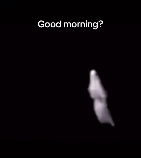 🥱 late night jumpscare tiktoks keep me up #dancingghost #spooky #scary #fyp