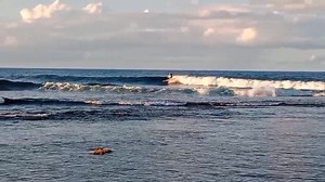 💖 Enjoy Surf Dominica 🇩🇲 Last wave of the day... jeffcoulais.com | SURF Dominica