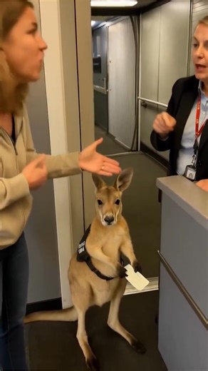 ¿Eres emprendedor y no tienes tiempo ni para respirar? 🥵 ¡Te veo en mi taller gratuito “Gana más gastando menos con Inteligencia Artificial”! En menos de una hora crearemos: 🤖 Un asistente virtual que conteste tus redes 🎯 Anuncios de imagen y video listos para publicar 🌐 Un sitio web desde cero 📈 Ideas de anuncios vendedores 🎶 Una canción para tu negocio Y muuucho más. Es gratis, práctico y diseñado para emprendedores como tú que quieren usar Inteligencia Artificial para aumentar ventas pe