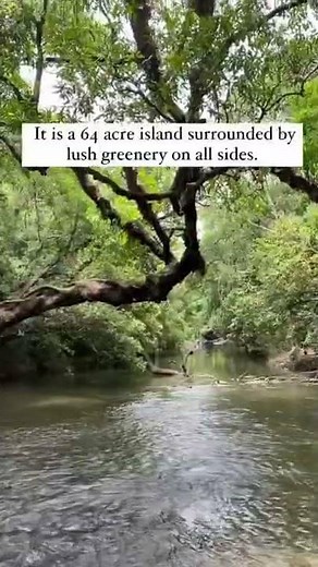 Nisargadhama Forest || Must Visit Place In Coorg || Entry Fee 10/-