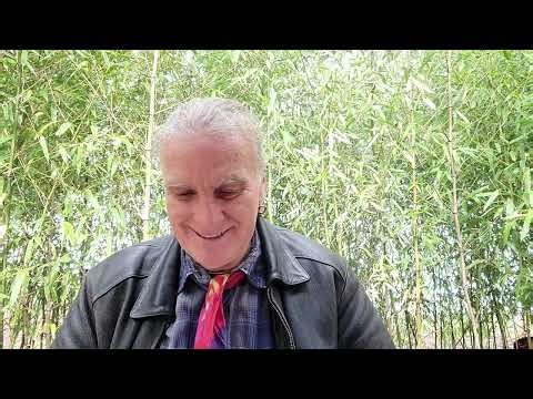 7/365 1-7-26 Thru A Course In Miracles w/Will-E. Eirene