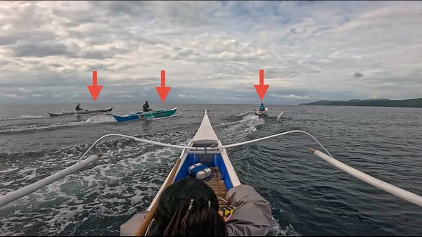 Secrets of marine ecosystems revealed!