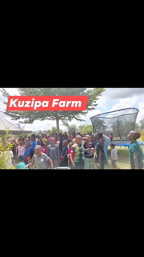 5.6K views · 23 reactions | A blessed Sabbath to you all | Kuzipa Farm | Facebook