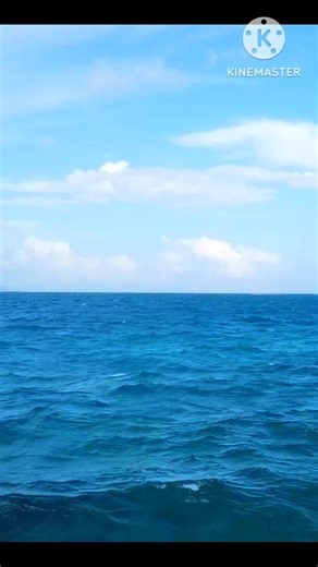 Why Ocean Water Is Blue🌊?#shortvideo #facts #amazingfacts #viralvideo #shorts #viral #animalfacts