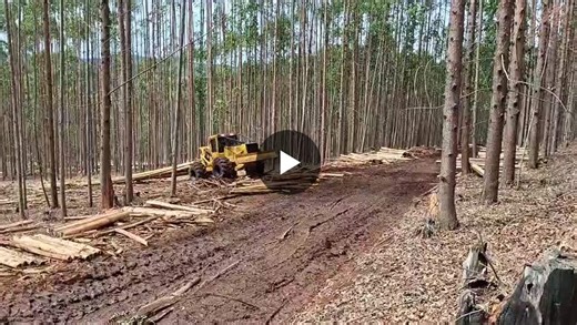 #weiler #skidder #forestryequipment #mechanisedforestry #timberextraction #forestryindustry #heavymachinery | Forestry Plant Equipment Sales