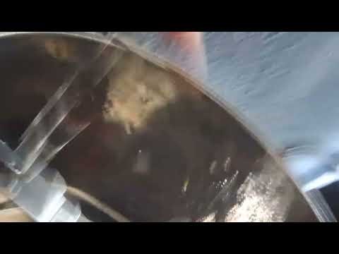 "HE GONE WORDGIRL POLICE!!!" (2024)