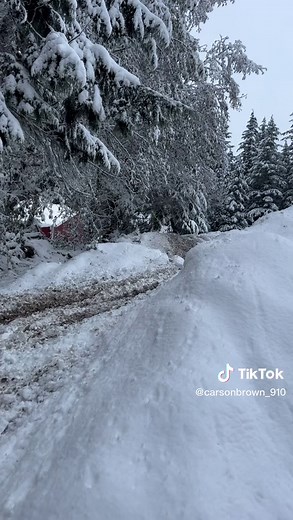 BBR Motorsports Husky Pit Bike Rip in the Snow with Daytona 190 Engine