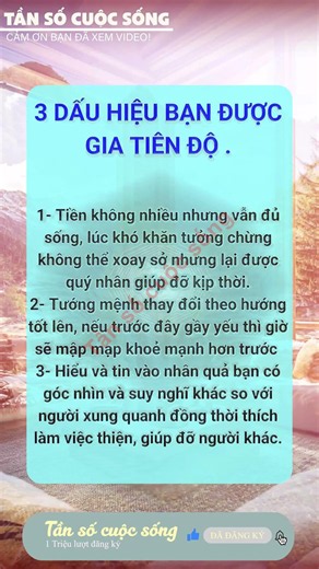 Tần số cuộc sống: Nhạc thiền định chữa lành và tĩnh tâm sâu lắng