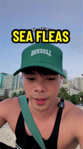 Understanding Sea Fleas Impact on Manila Bay Ecosystem