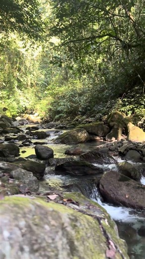 Explore tiger fish river 🎣