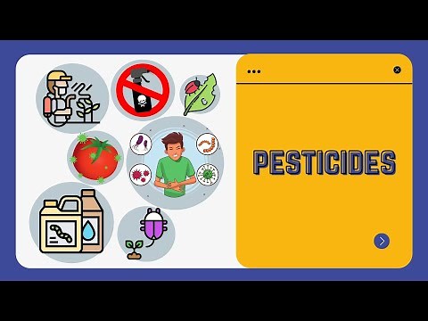 What is pesticide? How it affects human health?