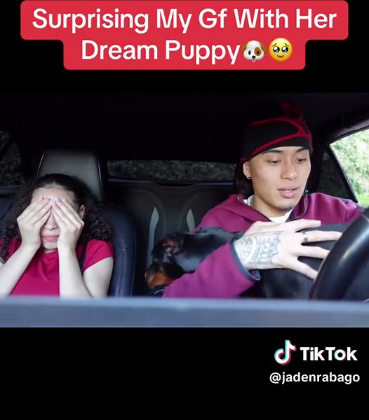 Surprising Jalessa with Her Dream Puppy