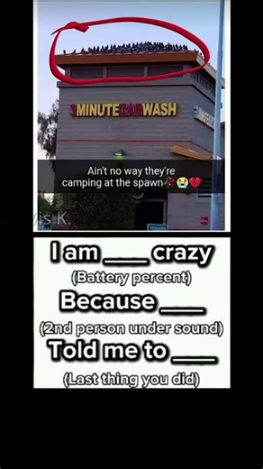 When Pigeons Turn Into Pro Campers 😂🕊️🎮 #shorts #memes