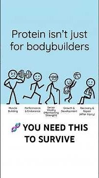 Protein Explained Simply: Why Your Body Can't Live Without It 💪🧬
