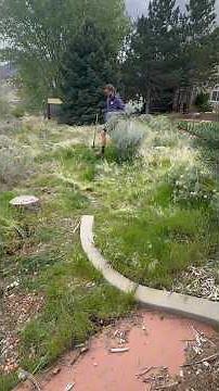 Cleaning Up My Backyard to Start a New Project