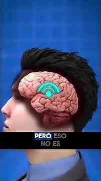 🧠 How alcohol affects your body: brain, muscles, and more 🍷 #health #alcohol #facts