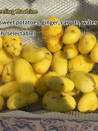 Efficient Potato and Ginger Washing and Peeling Machines