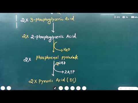 11th Biology Class - 91 (L-01) पादपों में श्वसन H.M