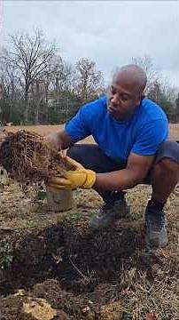 Planting tips in rocky soil. #gardening #diy #plants #tips