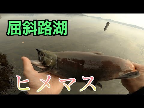 2025/10/26 屈斜路湖でヒメマス釣りしてみた！＃北海道＃屈斜路湖＃ヒメマス＃ルアーフィッシング