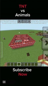 Minecraft TNT Vs animals explosion survive? #minecraft #tnt