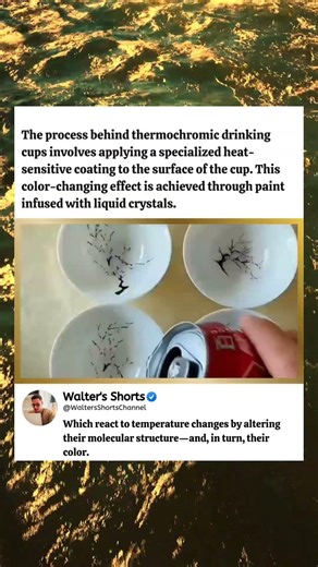 How Heat Makes Cups Change Color