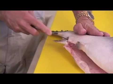 How to clean Salmon by Captain Vincent Russo