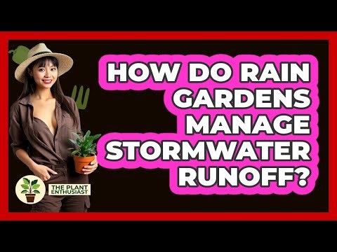 How Do Rain Gardens Manage Stormwater Runoff? - The Plant Enthusiast