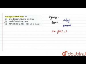 Primary succession occurs on