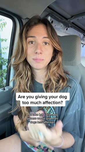 Effective Dog Training Tips for a Healthy and Balanced Pup