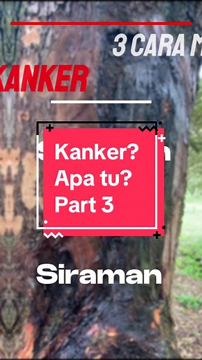 Kanker? Apa tu? Part 3 #kanker #durian #bajaorganik #azomite #fertilizer #agritok #fypシ゚viral #fy