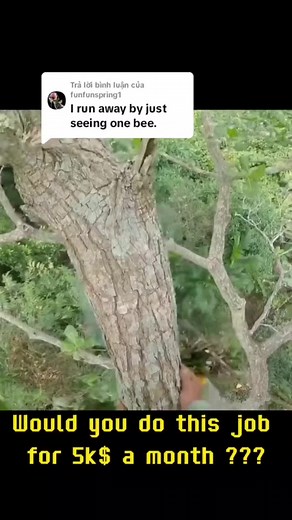 ID SIMPLY LET GO AND LET THE GROUND BREAK MY FALL... #cameraman #comedy #funny #thevoidcafe