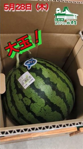 【千葉県の夏の名物といえばスイカ🍉🍉🍉】 #道の駅 #みのりの郷東金 #スイカ #お中元