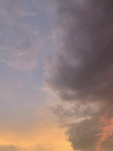 38K views · 2.2K reactions | my obsession | Xen | Facebook