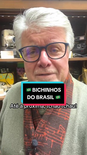 Top 3 Unique Animals from Brazil You Won't Find in the US