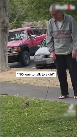 Prankster Woman Asks Strangers to Hold Her Bearded Dragon While She Pretends to Argue on Phone