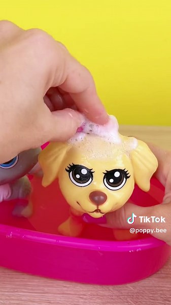 Poppy Bee Face Reveal Livestream on September 20th