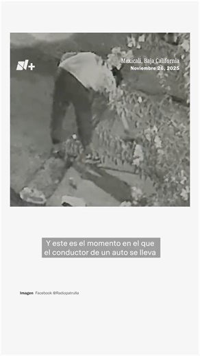 Captan a conductor robándose a Perro Pug -N+