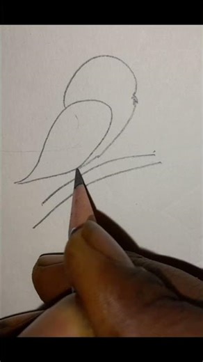 The 🐦 draw #music #edms #musicgenre #sketch #art #song