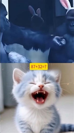 Girl mood 😂😂 #cat #trending #shorts #memes