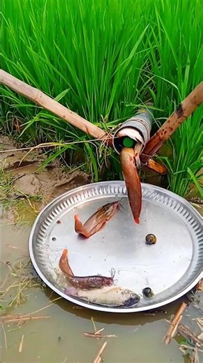 “A New Pipe-Based Fishing Tool” #fishing #villagefishing #reels #shorts