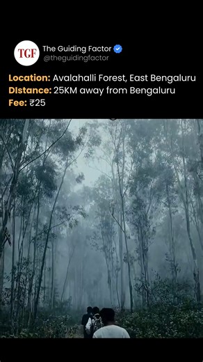 Location: Avalahalli Forest, East Bengaluru Distance: 25KM away from Bengaluru An urban forest perfect for a quick escape from city life. Entry fee: ₹25. Ideal for morning walks, photography, and birdwatching. Comment "location" for the Google Maps link in your DMs. Video credit: @the_rolens5 #TGF #travel #unseenindia #bangaloreweekends #avalahalliforest #weekendgetaway #hiddenkarnataka #natureescape #bengalurutravel | TGF - The Guiding Factor | Facebook