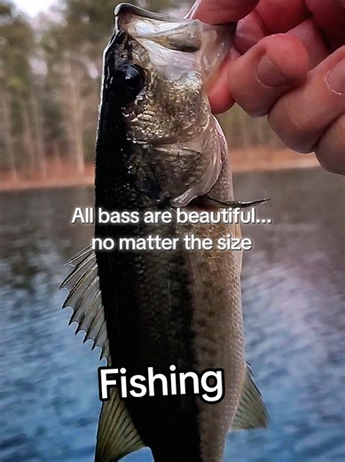 If you love fishing... you are my peeps #fishing #bassfishing #fishinglife #fishinglifestyle