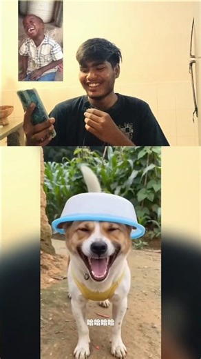 Epic Cat & Dog Fails: Meri hansi nahi ruki! 🤣 #reaction #viral #sorts