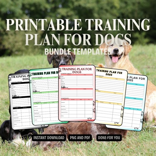 Printable Training Planner | Workout and Fitness Schedule | Exercise Log & Goal Tracker | PDF PNG Instant Download - Etsy